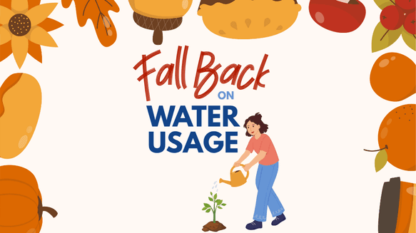 Fall Back on Water Usage.png